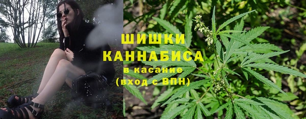 дмт Новозыбков
