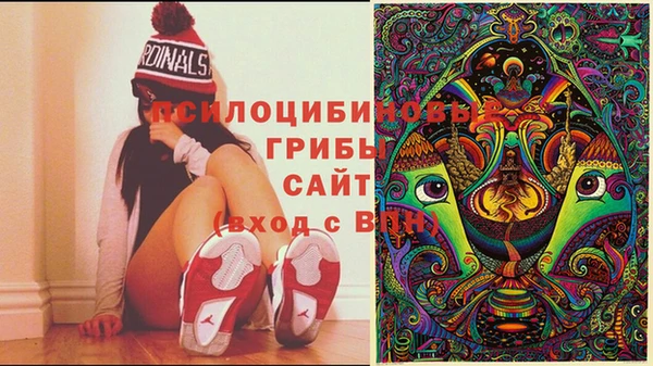 дмт Новозыбков