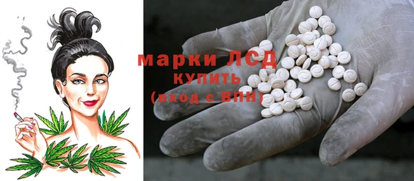 дмт Новозыбков