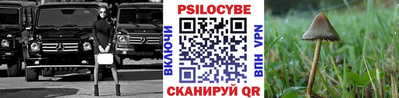 Псилоцибиновые грибы мухоморы  Новохопёрск 